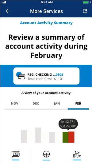 receive a summary of account activity 