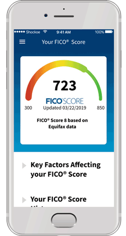 FICO score