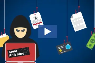 Seeing through the scam